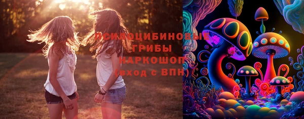 прущая мука Аркадак